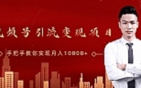 视频号引流变现项目，手把手教你实现月入10000+