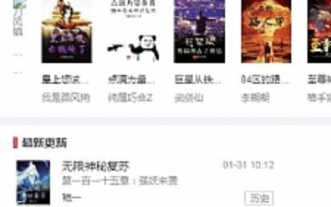 精美小说网站PHP源码