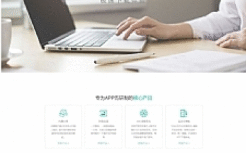 Thinkphp内核app分发系统大仙分发平台源码第一个版本