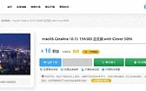 WordPress主题RiPro 2021文章页付费下载插件riprodl_v1美化版本