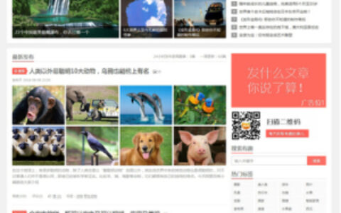 织梦模仿阿里白秀织梦模板织梦博客文章信息源码PHP网站模板的新版本