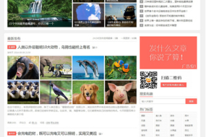 织梦模仿阿里白秀织梦模板织梦博客文章信息源码PHP网站模板的新版本