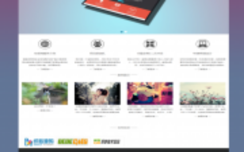 织梦大气简约网络公司dedecms模板