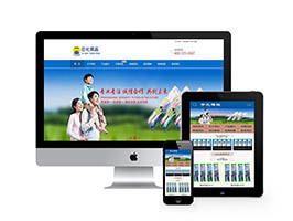 织梦网站织梦模板带手机端生产日用化工产品牙刷