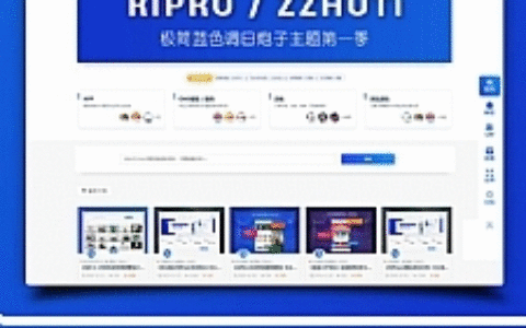 WordPress主题RIpro子主题logohe美化