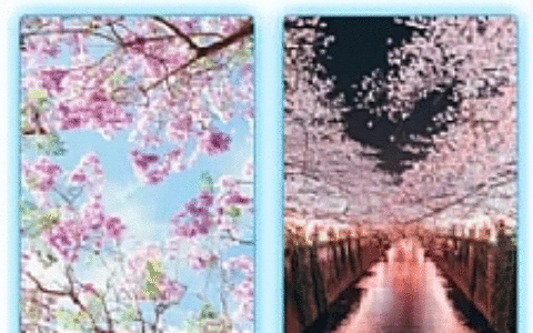 手机壁纸网站源码 带全自动采集 响应式手机电脑端模板