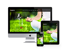 织梦响应式经络健康网站织梦模板自适应手机端