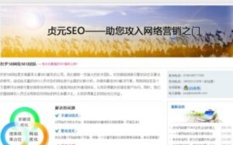 织梦SEO服务公司网站织梦模板