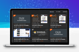 RIPRO主题美化-资源类型判断图标