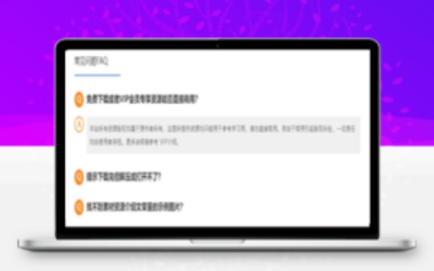 RIPRO主题美化-主题文章页添加“常见问题FAQ”