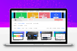 RIPRO主题美化-移除分类栏目标题中的“分类”二字