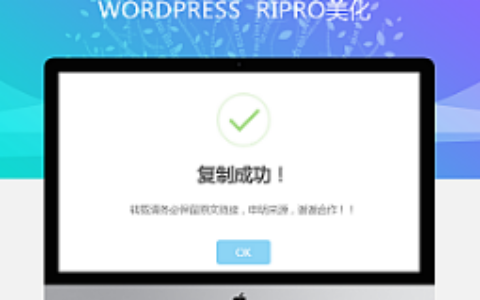 RIPRO主题美化-网站实现复制内容弹出提示框 WordPress美化