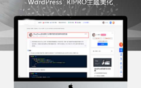 最新RIPRO主题美化-详细页标题栏显示头像+作者+发布时间+浏览量 WordPress主题美化