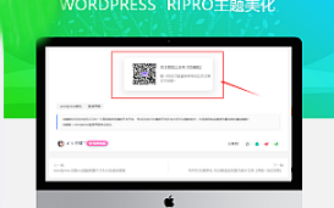 最新RIPRO主题美化-文章添加公众号引流关注模块