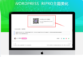 最新RIPRO主题美化-文章添加公众号引流关注模块