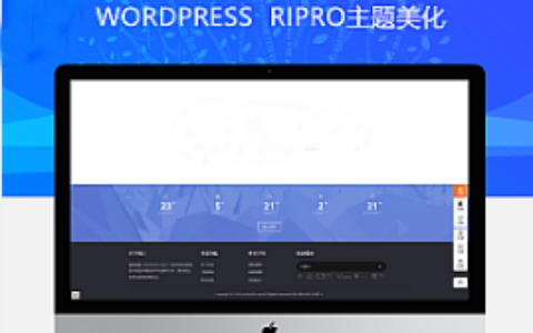 最新RIPRO主题美化-首页底部网站信息统计模块JS动态数字跳动 WordPress主题美化