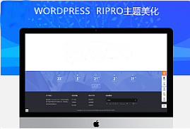 最新RIPRO主题美化-首页底部网站信息统计模块JS动态数字跳动 WordPress主题美化