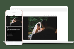 带手机端响应式风景写真类织梦模板
