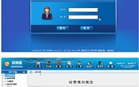 【赛丽麦进销存软件V0.99-9】开源+固定资产管理+人事管理+库存查询等功能
