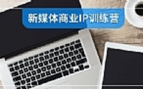 新媒体商业IP训练营视频