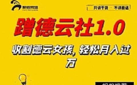 聚蚁思维蹭德云社赚钱1.0 收割德云女孩 轻松月入过万
