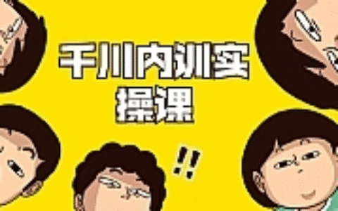 数据哥·千川内训实操课，轻松获取流量，直播带货变现