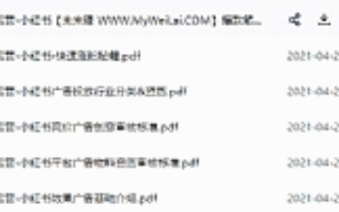 2021年小红书策划运营方案与报告