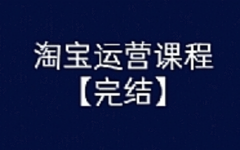 某团队淘宝运营课程 从入门到精通玩转淘宝【完结-高清无水印】