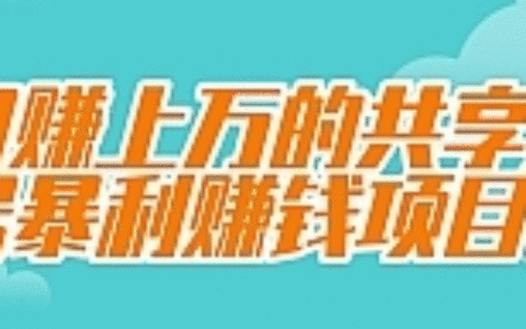 月赚上万的共享账号暴利赚钱项目！【视频教程】