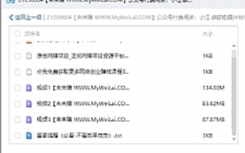公众号付费阅读：小江·教你拍摄、制作同款小视频！玩转抖音