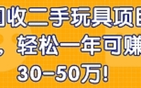 回收二手玩具项目，轻松一年可赚30-50万