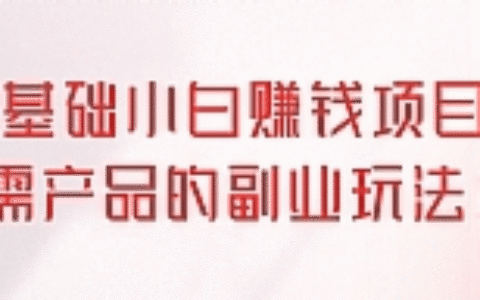 零基础小白赚钱项目，刚需产品的副业玩法