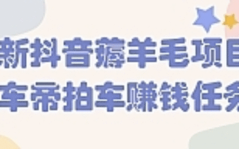 最新抖音薅羊毛项目：懂车帝拍车赚钱任务！【视频教程】