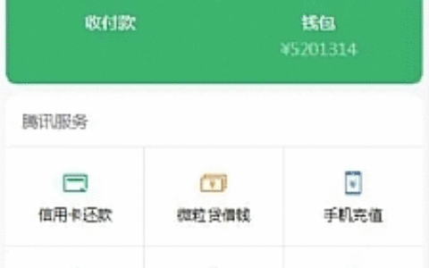高仿wx钱包页H5网站源码