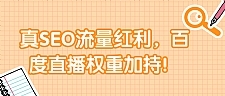 真SEO流量红利，百度直播权重加持！【视频教程】