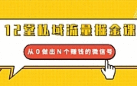 12堂私域流量掘金课：从0做出N个赚钱的微信号【完结】