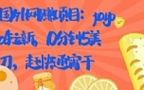 国外网赚项目：paypal拉新，10分钟5美刀，赶快通宵干【视频课程】