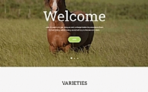 响应式马匹饲养养殖场养马场畜牧业网站源码 织梦dedecms模板 自适应手机端