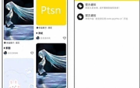 Ptsn软件APP源码可当图文或壁纸软件
