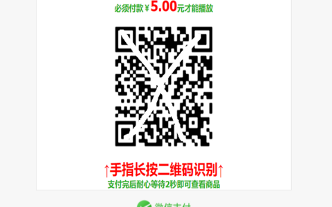 个码免签支付（带app）+聚合支付后天
