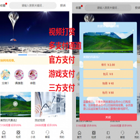 2021年完美运营版视频知识付费打赏系统【凤凰打赏系统】带试看/包天包月/免签防封
