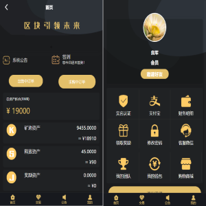 【黑金UI】黑金众利/ZLC源码/众利模式源码/挖矿区块链源码