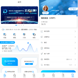 usdt众筹模式/拼团新模式/投资理财/众筹系统源码