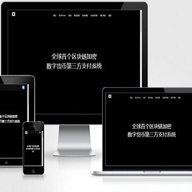 星火支付/USDT承兑系统/支持ERC20 OMNI/代理商/第三方支付接口/USDT场外OTC/