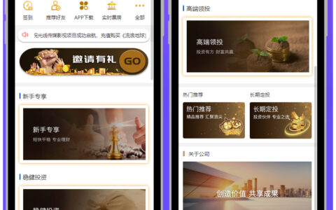 2020全新UI影视投资理财系统源码/电影投资源码/项目投资理财源码/资金盘