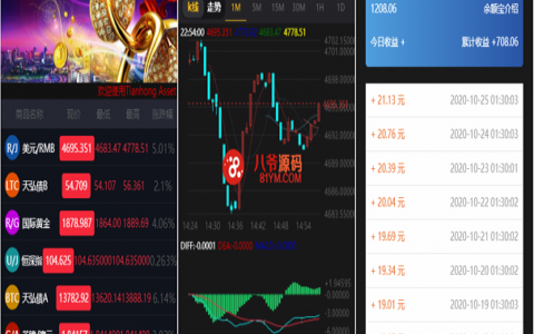 独家首发最新更新微盘wp二开版带余额宝功能时间盘黄金期货数字火币交易+完整数据+k线正常