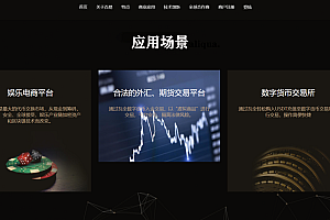 【会员资源】USDT星火支付/带简易教程