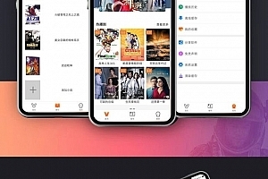 【会员资源】新版JAVA原生双端影视/APP投屏影视源码