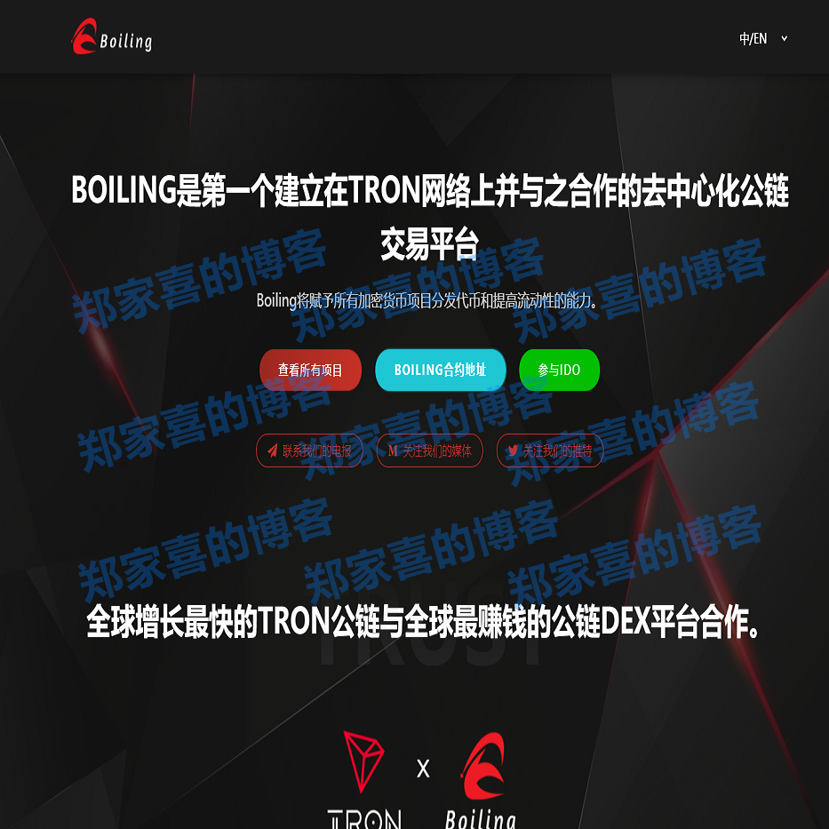 区块链官网代币官网ERC20代币官网波场代币币种介绍网站