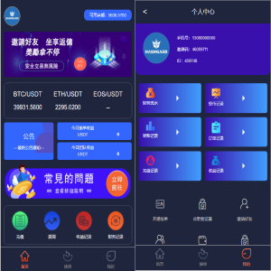 虚拟币抢单/USDT抢单系统/虚拟币接单返利/团队推广